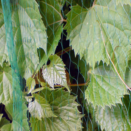 Bradas Repellent Net Birds 3x5m