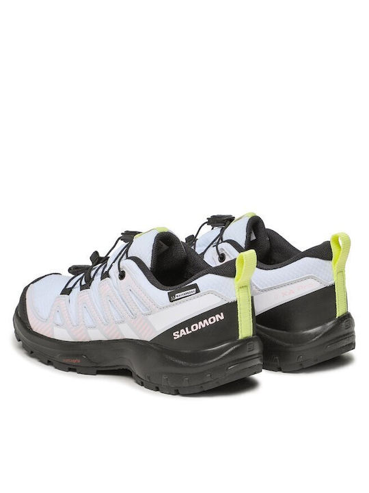 Salomon Xa Pro V8 Αδιάβροχα Μπλε