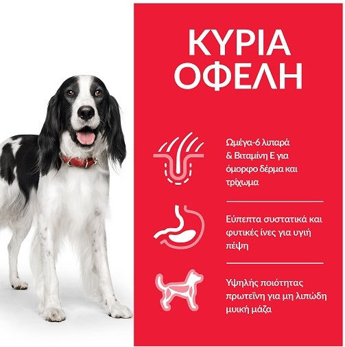 Hill's 14kg Dry Food for Adult Medium Breed Dogs with Lamb