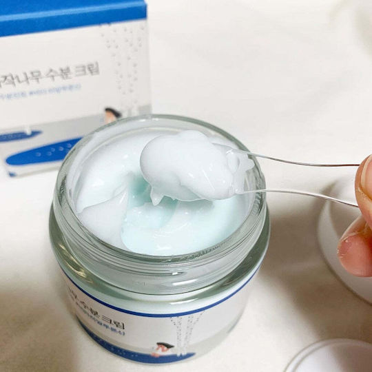 Round Lab Birch Juice Light Cream Face with Aloe Vera 80ml