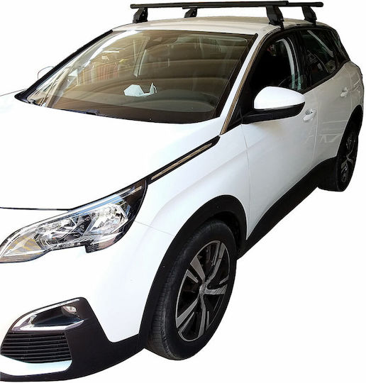 Menabo (with Roof Rack Legs and Lock) Silver