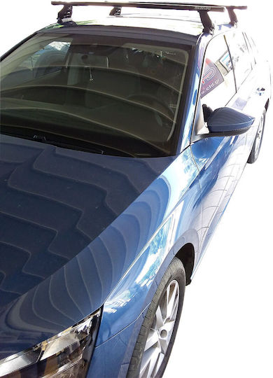 Menabo (with Roof Rack Legs) Silver