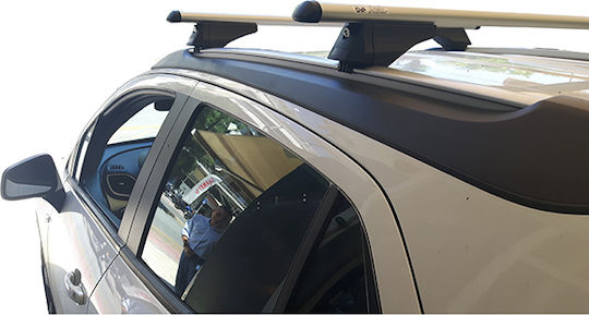 Menabo (with Roof Rack Legs) Silver