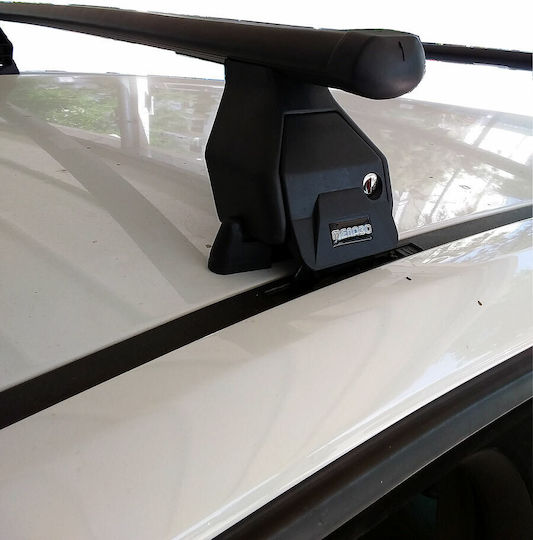 Menabo (with Roof Rack Legs and Lock) Silver
