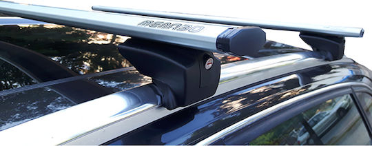 Menabo (with Roof Rack Legs) Silver