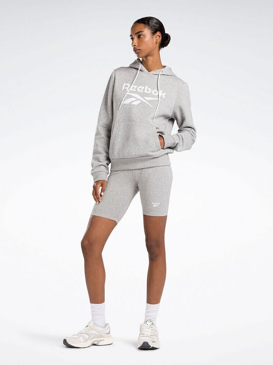 Identity Big Logo Damen Sweatshirt Kapuzen Gray