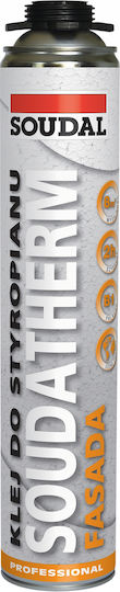 Soudal Professional Special Cleaner Suitable for Concrete 750ml