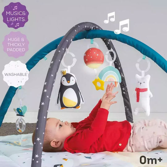 Taf Toys North Pole 4 Seasons Activity Gym for 3+ Months
