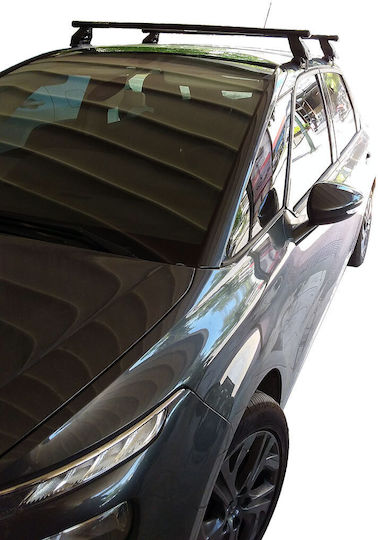 Menabo für Citroen C4 Picasso (mit Dachträgerfüßen) Silber
