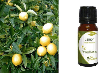 Nature & Body Essential Oil Lemon 10ml