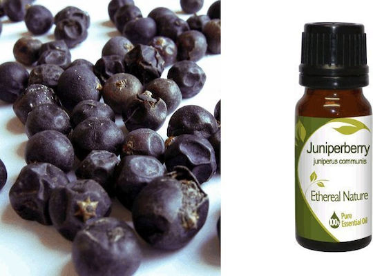 Nature & Body Αιθέριο Έλαιο Κυπαρίσσι 10ml