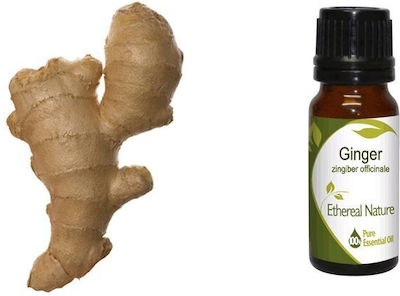 Nature & Body Αιθέριο Έλαιο Ginger 10ml