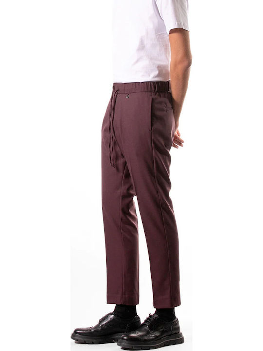 Hose Burgundisch