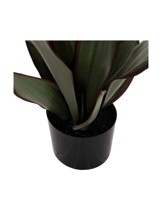 Künstliche Pflanze im Töpfchen Grün 12cm HomeMarkt