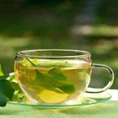 Τζινγκο Μπιλομπα Ginkgo Biloba Φυλλο Κομμενο Κινας 50 Gr