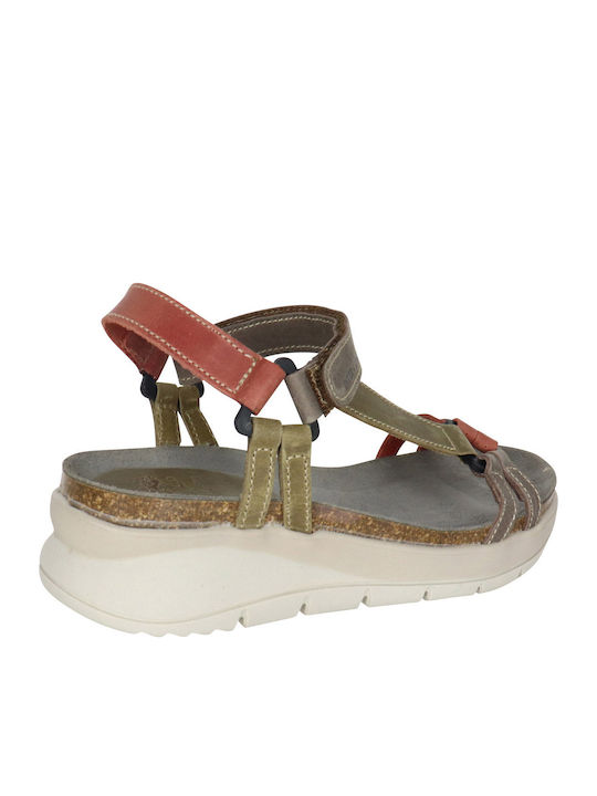 Platforme Dama Kaki