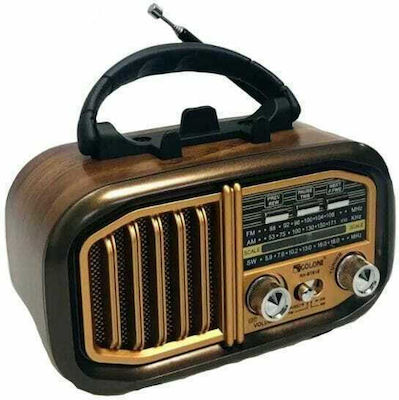 Golon RX-BT618S Retro Tragbares Radio mit Bluetooth und USB Gold