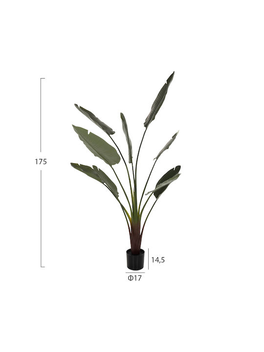 HomeMarkt Artificial Plant in Pot Green 175cm 1pcs