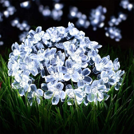 Solar Light Flower Cold White with Photocell IP67