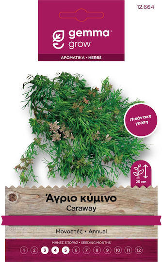 Gemma Samen Kreuzkümmel 0.5gr