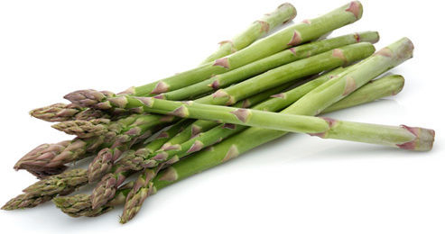 Gemma Seeds Asparagus Argenteuil Gemma Seeds Asparagus Argenteuil