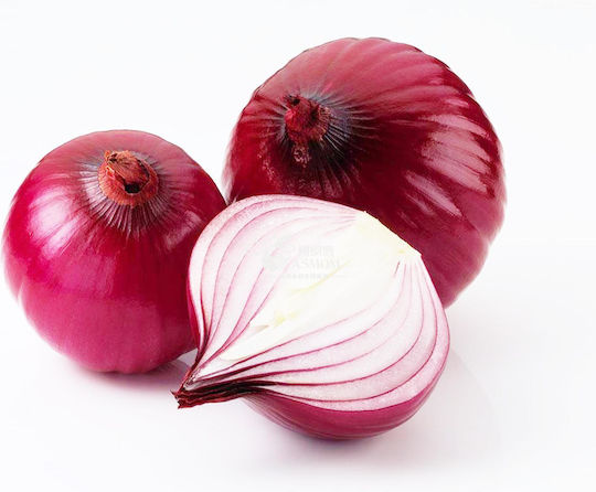 Gemma Семена Лук Червен лук (Allium Cepa) Gemma Семена Лук Червен лук (Allium Cepa)
