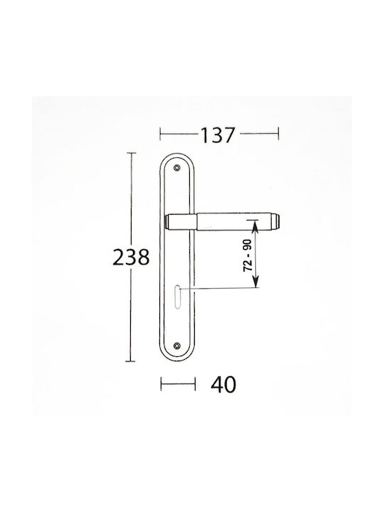 Convex Lever Middle Door with Plate 1745 05.7119 Pair (Center Distance 72mm) Oro Matt