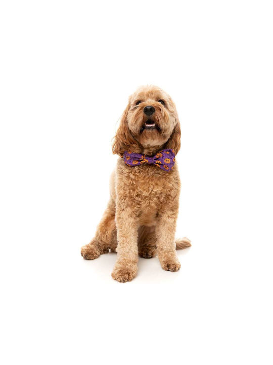 Fuzzyard Cravată Bow Tie Halloween