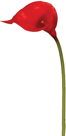 Calla Lily Lianos