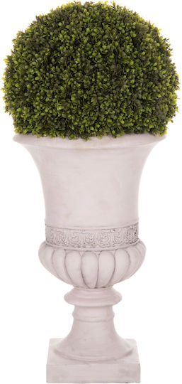 Buxus În Ghiveci Multicolor 82cm HomeMarkt