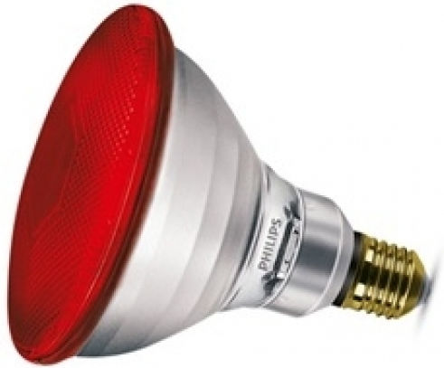 Philips Λάμπα Πυρακτώσεως 175W για Ντουί E27