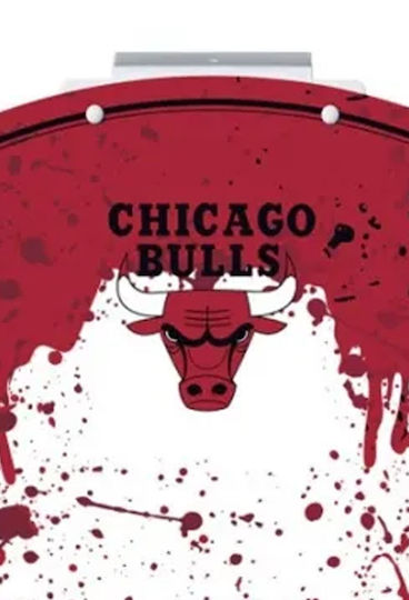 Wilson Indoor Over Door Basketball Hoop with Ball NBA Chicago Bulls