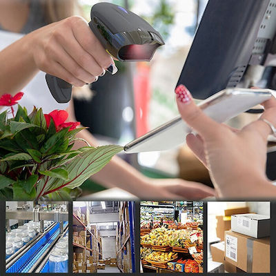 Qoltec Handheld-Scanner Drahtlos mit 2D- und QR-Barcode-Lesefunktion