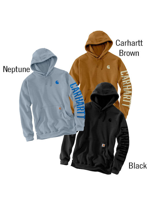 Carhartt Graphic Hanorac pentru bărbați GALLERY