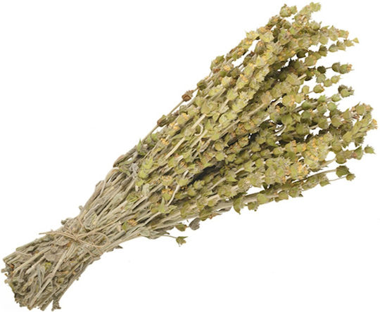 Τσαι Βουνου Σιδεριτης Βολου 50 Gr