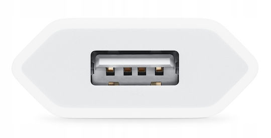 Co2 Handyladegerät Ohne Kabel 5W Weiß