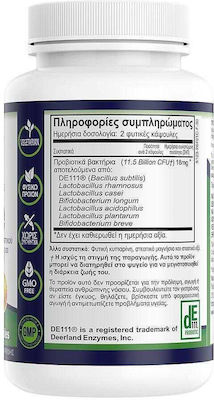 Natural Vitamins Restore Probiotics 30 caps