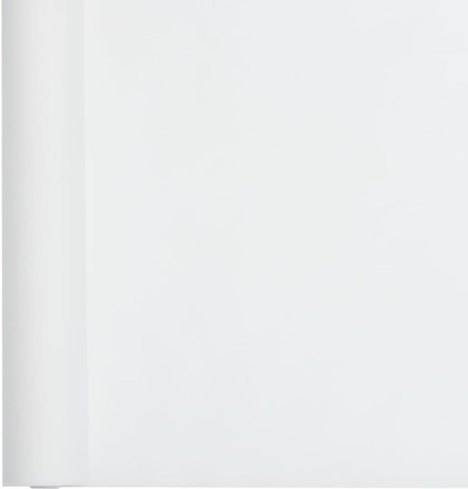 vidaXL 3203509 Antifreeze Cover Fabric 70gr/m² 10x1.6m White