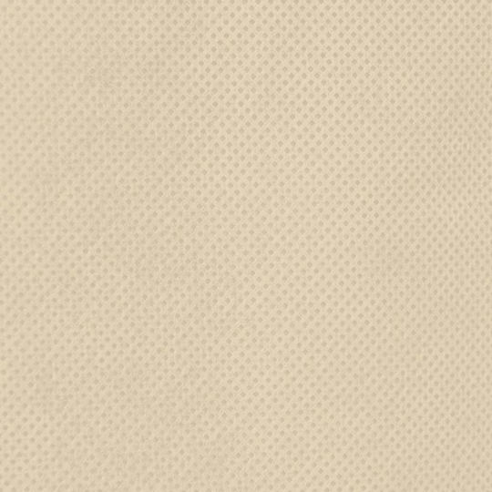 vidaXL 364879 Antifreeze Cover 70gr/m² 2x2.36m Beige