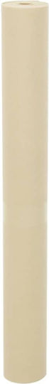 vidaXL 3203511 Frostschutzdeckel Agro Textilien 70gr/m² 10x1.6m Beiges