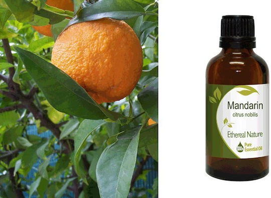 Nature & Body Αιθέριο Έλαιο Μανταρίνι 50ml