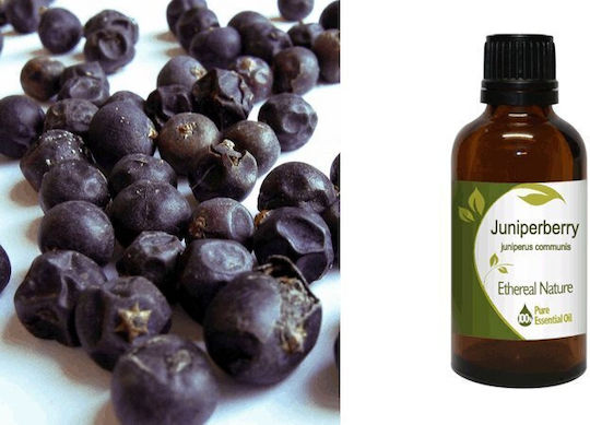 Nature & Body Ätherisches Öl Zypresse 50ml