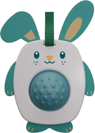 Ses Creative Pendant Toy for Car for 6++ Months