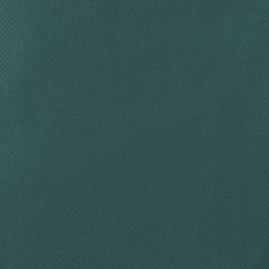 vidaXL 3203571 Antifreeze Cover 70g/m² 2x2.36m Green