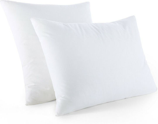 La Redoute Interieurs Pernă de Dormit Bumbac 324218156_10465_60 60x60cm