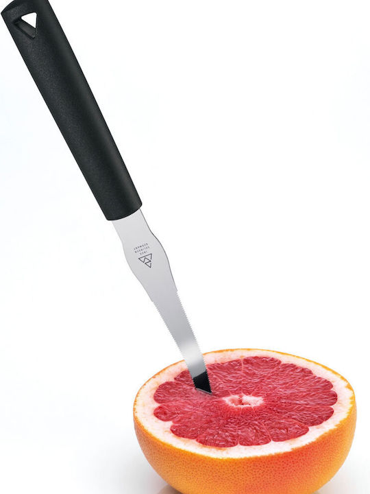 Triangle Grapefruit Knife Fruit from Stainless Steel