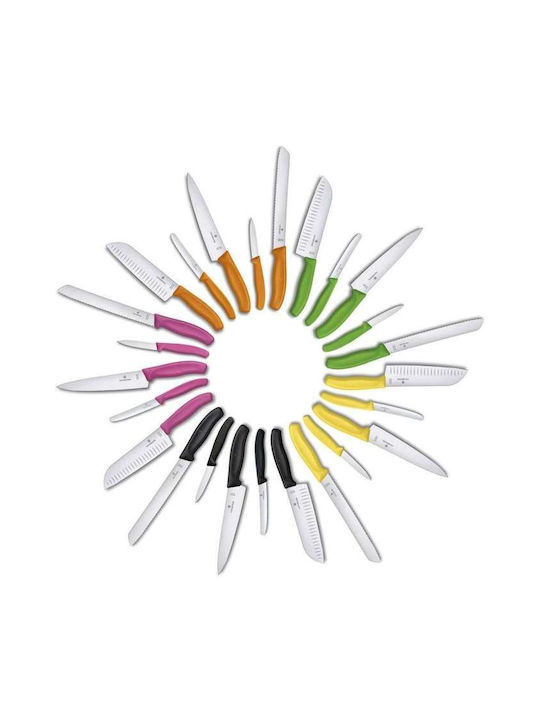Victorinox Swiss Classic Knife General Use from Stainless Steel 8cm