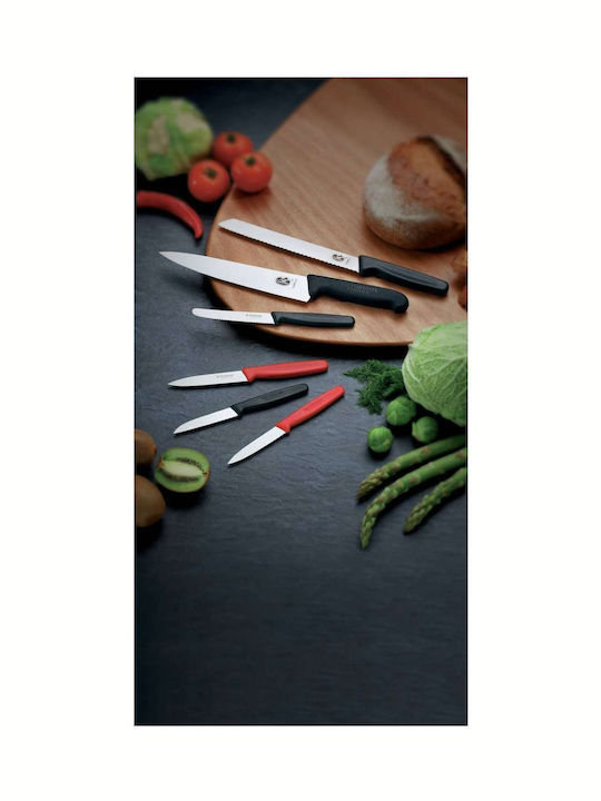 Victorinox Fibrox Messer aus Rostfreiem Stahl 25cm