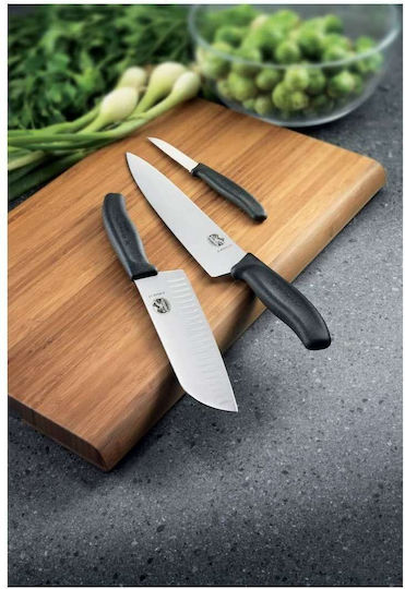 Victorinox Swiss Classic Knife Meat from Stainless Steel 22cm