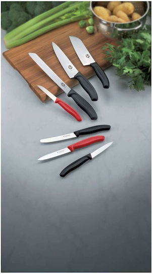 Victorinox Swiss Classic Knife General Use from Stainless Steel 6cm